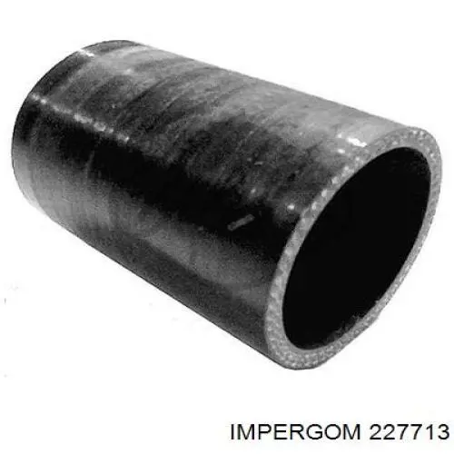 227713 Impergom Патрубок повітряний, вихід з турбіни (наддув)