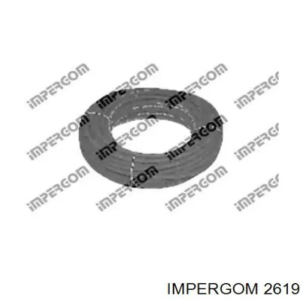 2619 Impergom Шланг паливний, універсальний