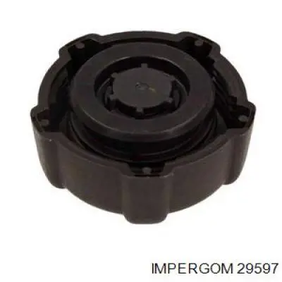 Бачок розширювальний Renault (RVI) 7701460422