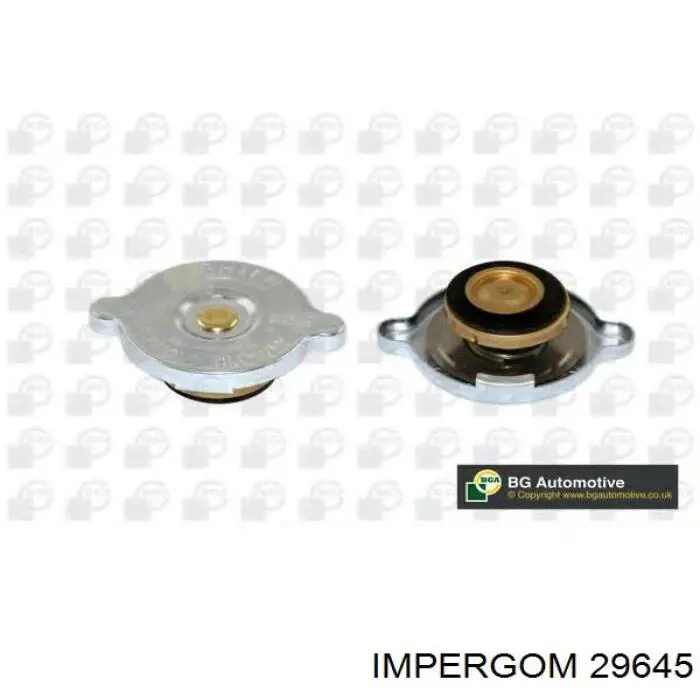 Купити 29645 Impergom Кришка розширювального бачка