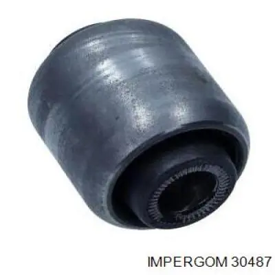 Купити 30487 Impergom Пильник тяги