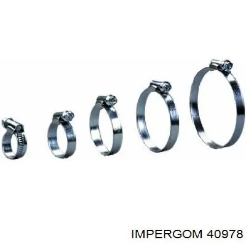 Купити 40978 Impergom Заглушка блоку циліндрів