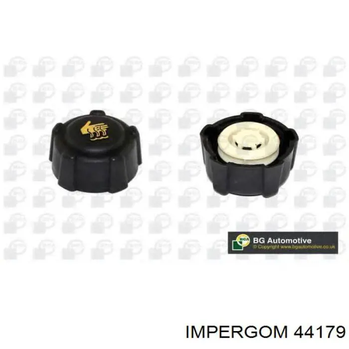 Купити 44179 Impergom Водяний бачок системи охолодження