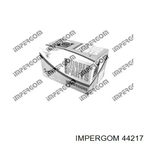 Купити 44217 Impergom Водяний бачок системи охолодження