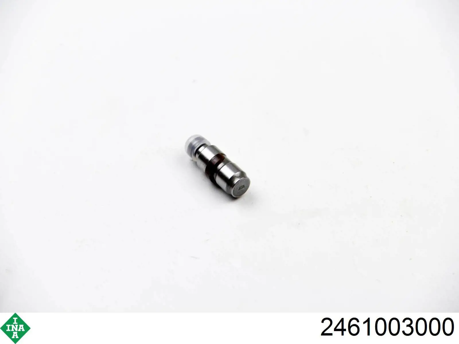 Гідрокомпенсатор 2461003000 INA