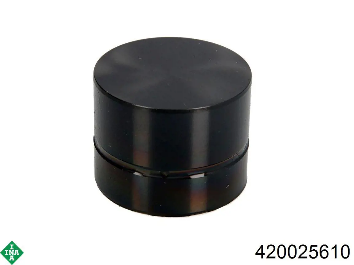 420025610 INA Гідрокомпенсатор