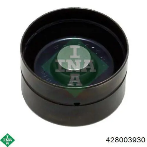 Розподільний вал двигуна, комплект INA 428003930 ціна, від 295.22 USD