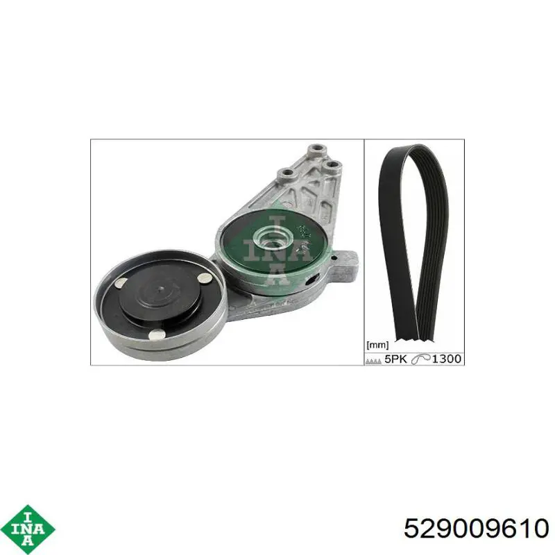 Ремінь приводний, агрегатів, комплект INA 529009610 ціна, від 73.18 USD