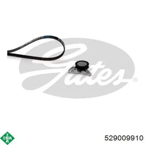 Ремінь приводний, агрегатів, комплект INA 529009910 ціна, від 31.98 USD