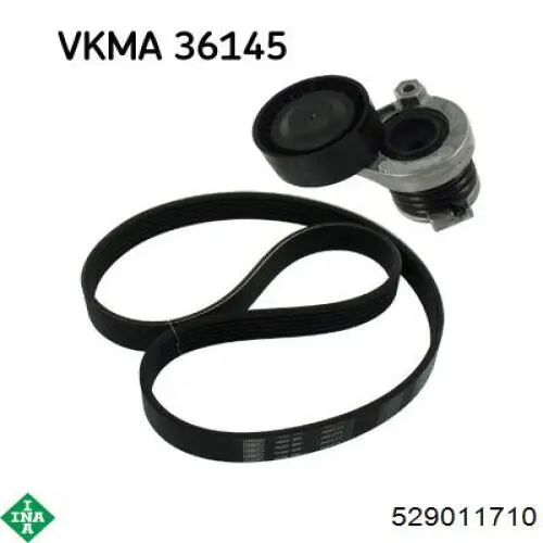 Ремінь приводний, агрегатів, комплект INA 529011710 ціна, від 55.80 USD