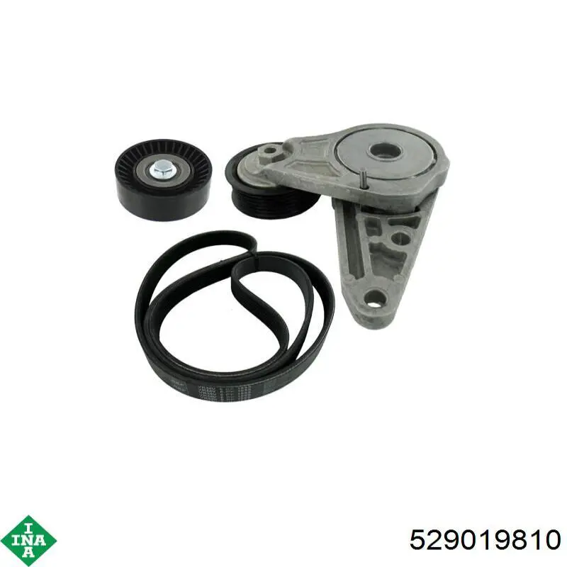 Ремінь приводний, агрегатів, комплект INA 529019810 ціна, від 94.32 USD