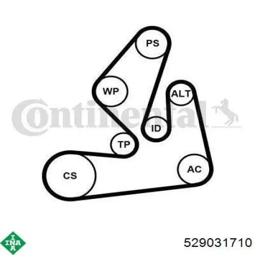 Ремінь приводний, агрегатів, комплект INA 529031710 ціна, від 84.39 USD