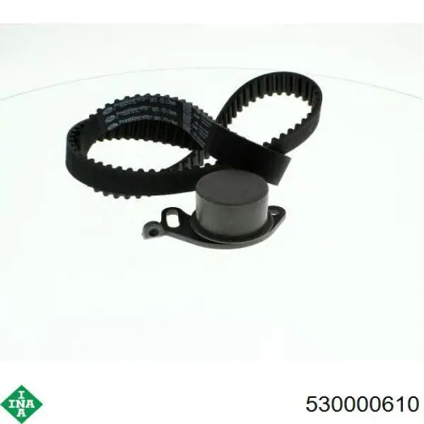 Комплект ГРМ 530000610 INA