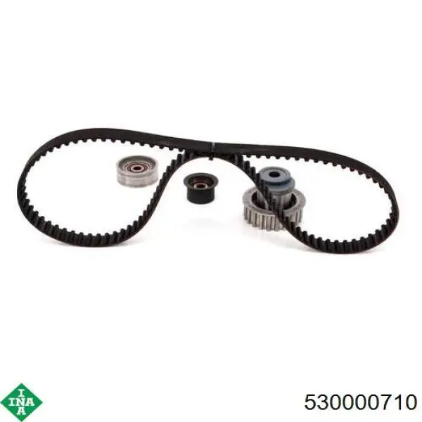 Комплект ГРМ 530000710 INA