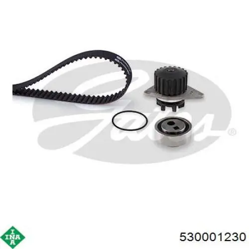 Комплект ГРМ INA 530001230 ціна, від 51.79 USD