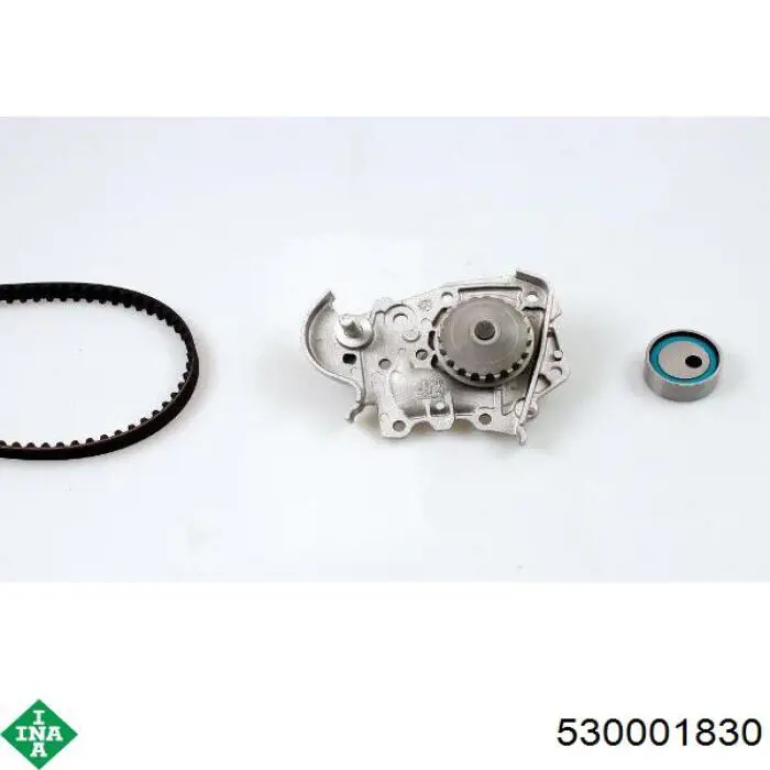 Комплект ГРМ INA 530001830 ціна, від 51.39 USD
