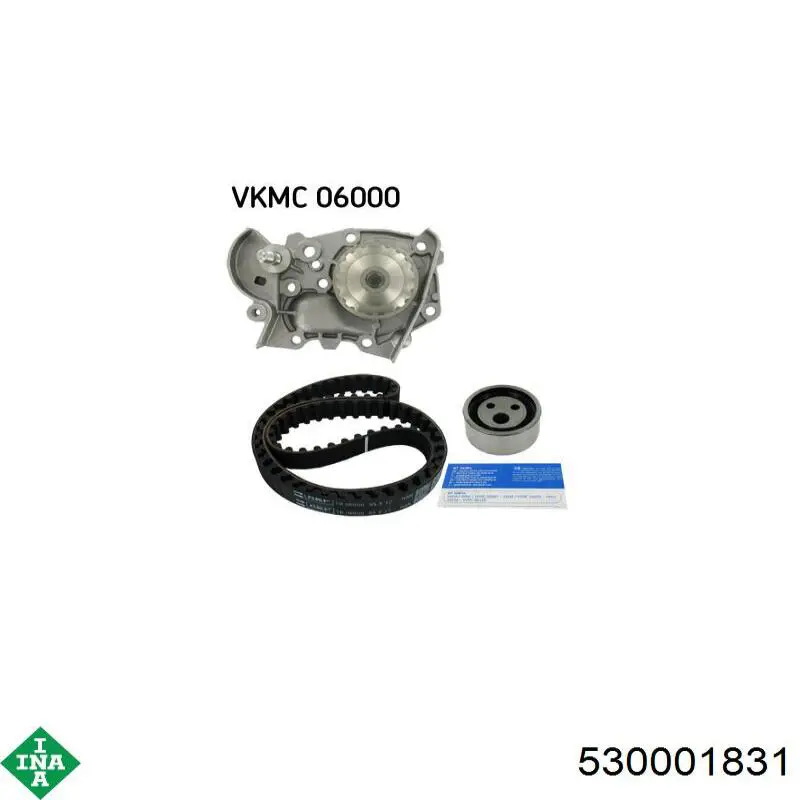 Комплект ГРМ 530001831 INA