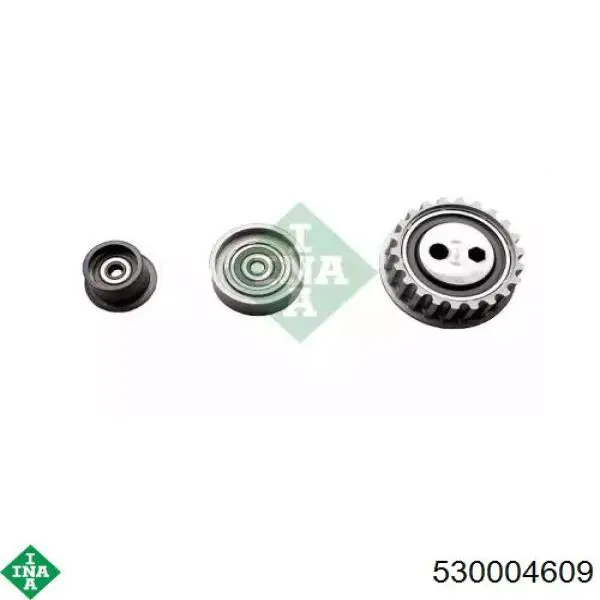 Комплект ГРМ 530004609 INA