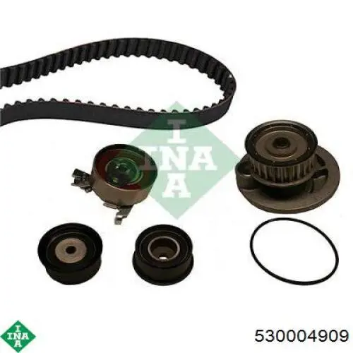 Комплект ГРМ INA 530004909 ціна, від 55.78 USD