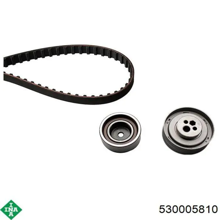 Комплект ГРМ INA 530005810 ціна, від 78.06 USD