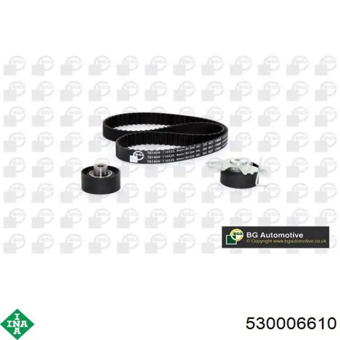 Комплект ГРМ 530006610 INA