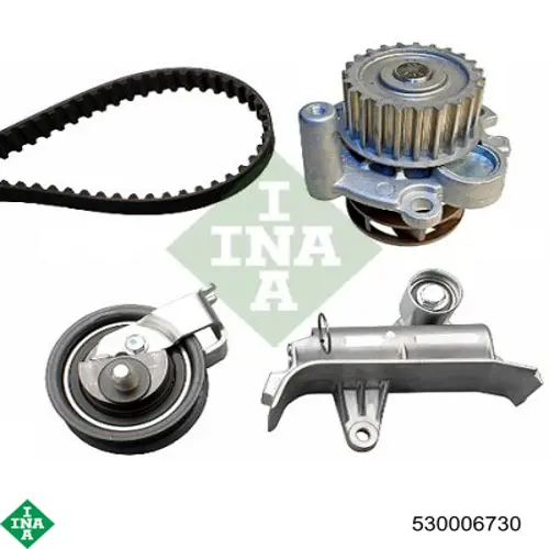 Комплект ГРМ 530006730 INA
