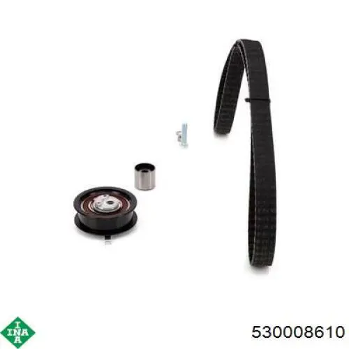 Комплект ГРМ 530008610 INA