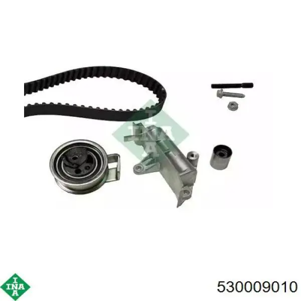 Комплект ГРМ 530009010 INA