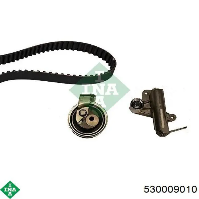 Комплект ГРМ INA 530009010 ціна, від 153.74 USD
