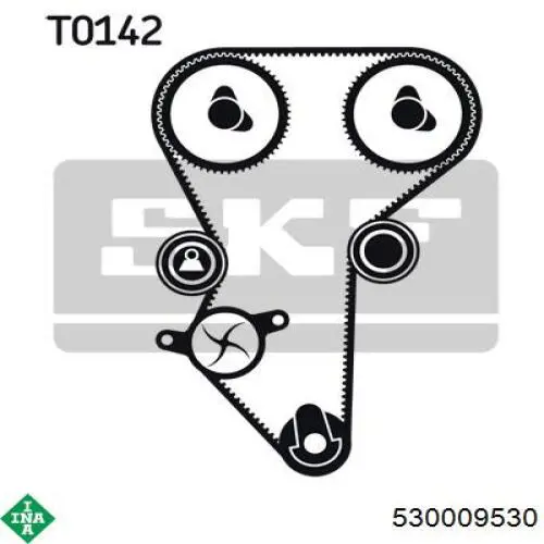 Комплект ГРМ INA 530009530 ціна, від 2.79 USD