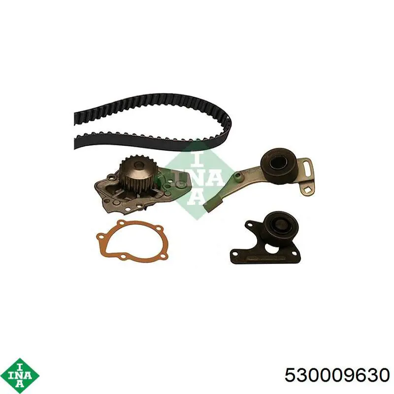 Комплект ГРМ INA 530009630 ціна, від 101.16 USD