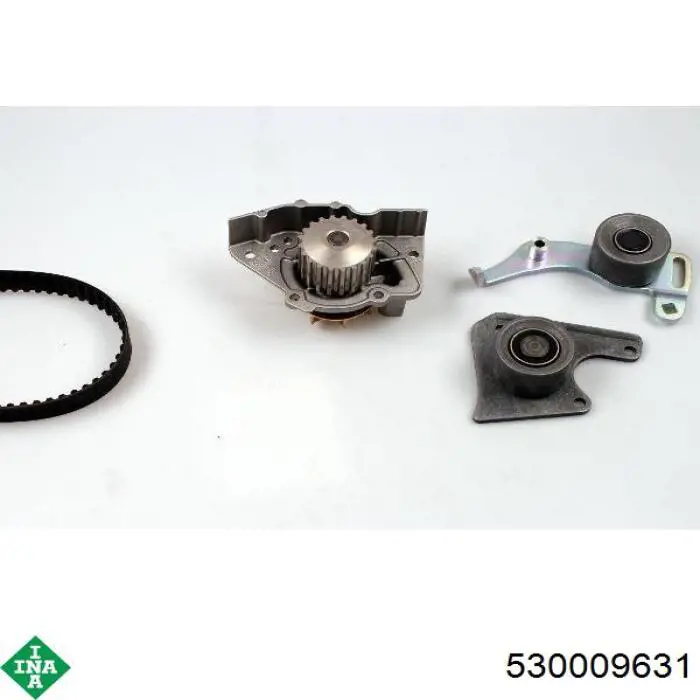 Комплект ГРМ INA 530009631 ціна, від 111.85 USD