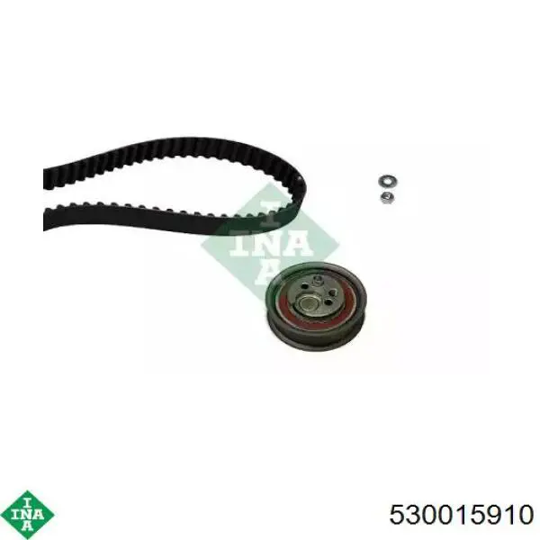 Комплект ГРМ 530015910 INA