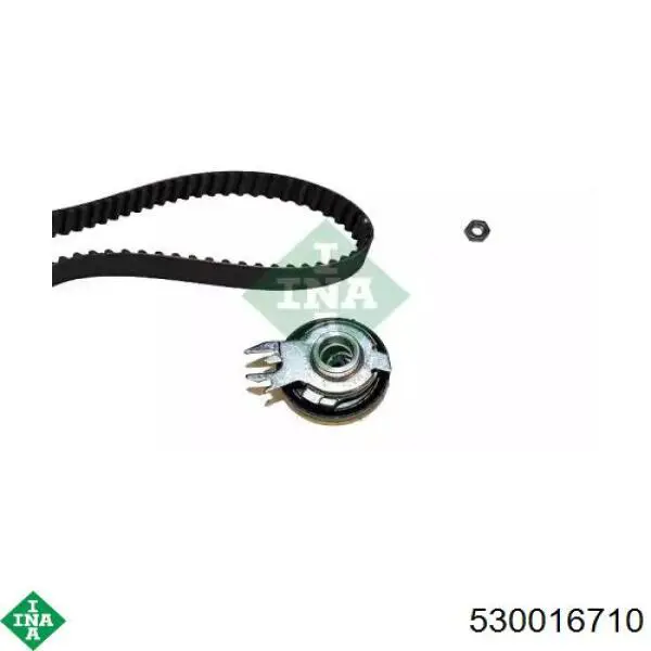 Комплект ГРМ 530016710 INA