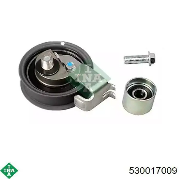 Комплект ГРМ INA 530017009 ціна, від 69.74 USD