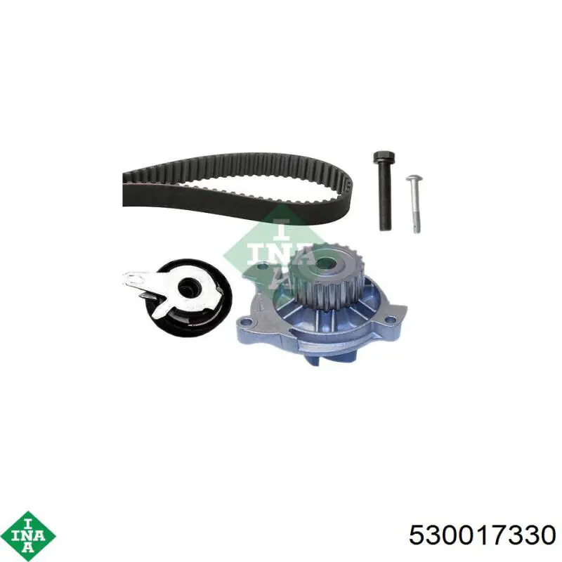 Комплект ГРМ INA 530017330 ціна, від 113.07 USD