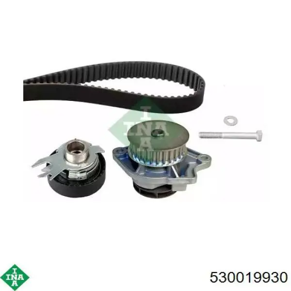 Комплект ГРМ INA 530019930 ціна, від 86.53 USD