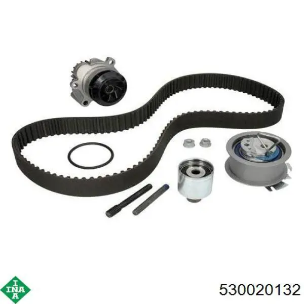 Комплект ГРМ INA 530020132 ціна, від 127.55 USD