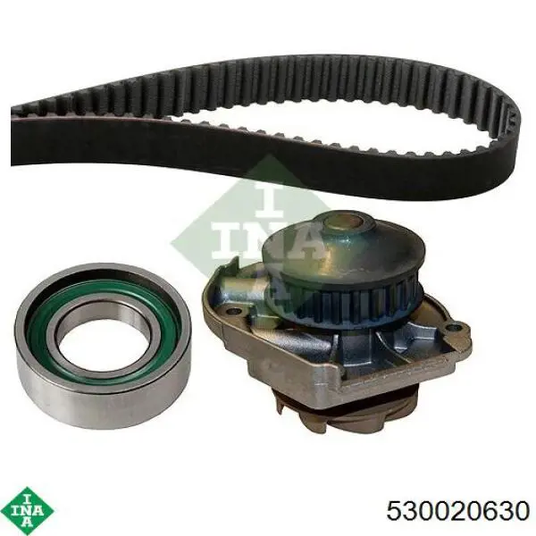 Комплект ГРМ INA 530020630 ціна, від 49.90 USD