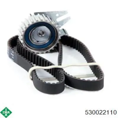 Комплект ГРМ INA 530022110 ціна, від 64.12 USD