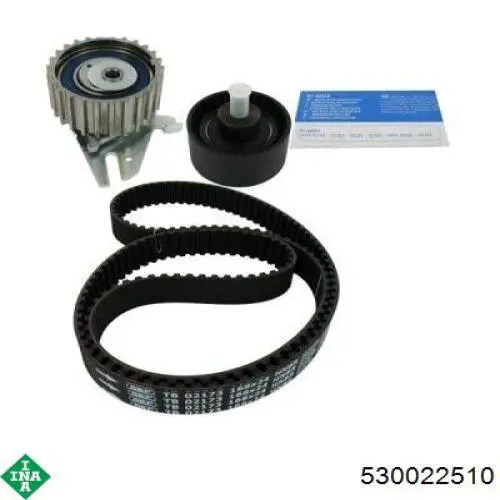 Комплект ГРМ 530022510 INA