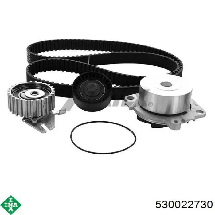 Комплект ГРМ INA 530022730 ціна, від 127.79 USD