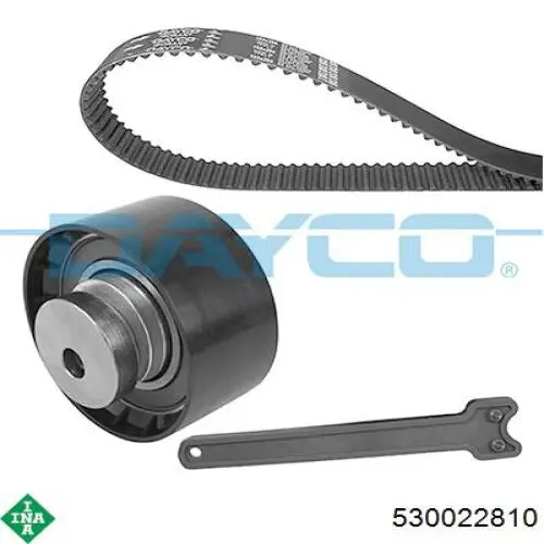 Комплект ГРМ INA 530022810 ціна, від 49.81 USD