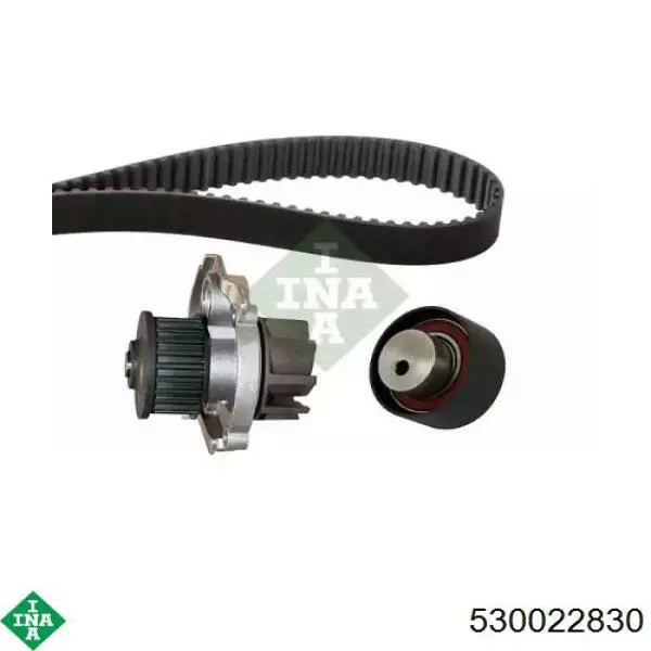 Комплект ГРМ 530022830 INA