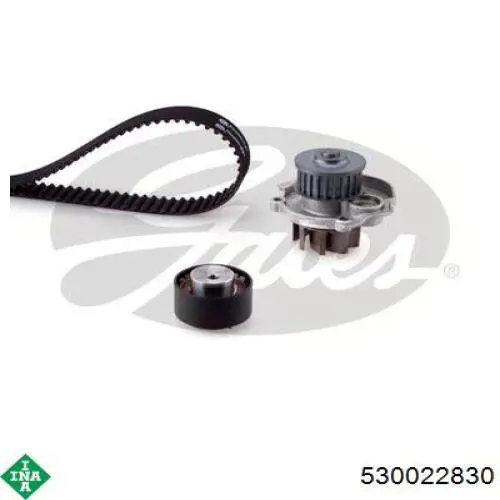 Комплект ГРМ INA 530022830 ціна, від 76.89 USD