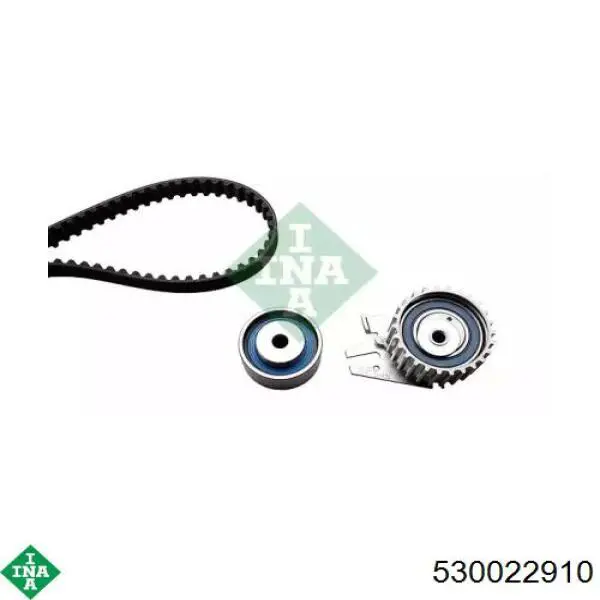 Комплект ГРМ INA 530022910 ціна, від 111.77 USD