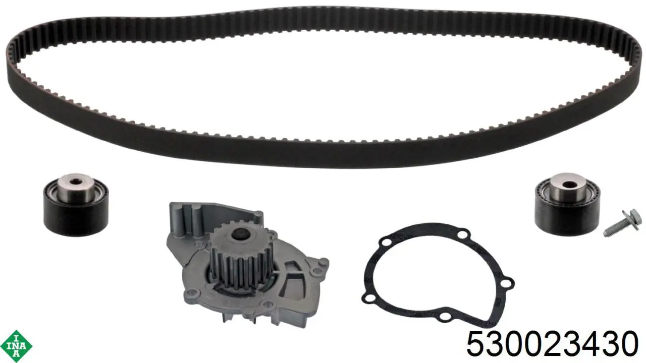 Комплект ГРМ 530023430 INA