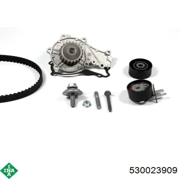 Купити 530023909 INA ГРМ ремень