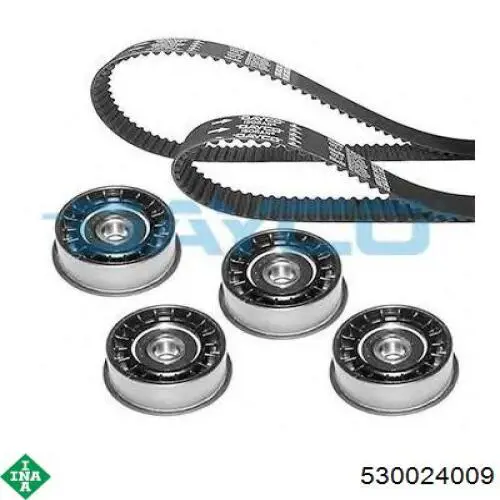 Купити 530024009 INA 