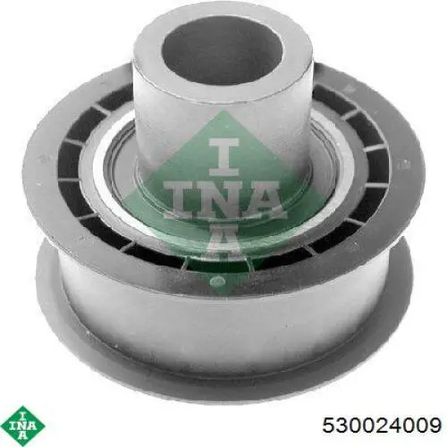 530024009 INA